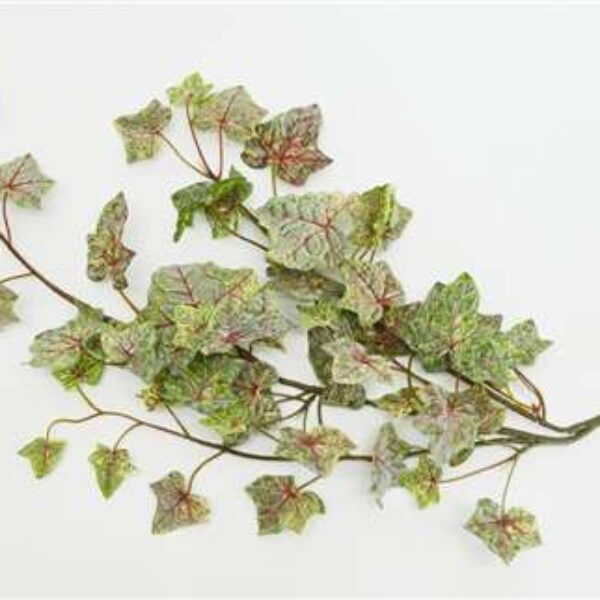 Flocked Ivy Vine-Green & Burgundy Veins