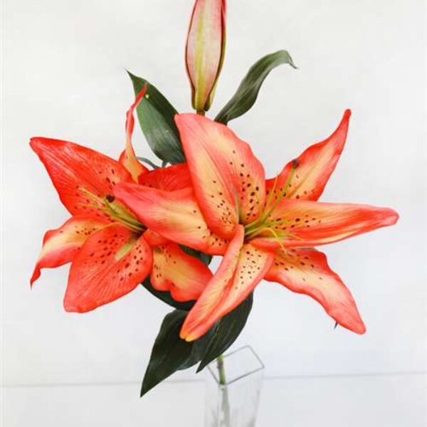 Casablanca Lily Orange - Real Touch