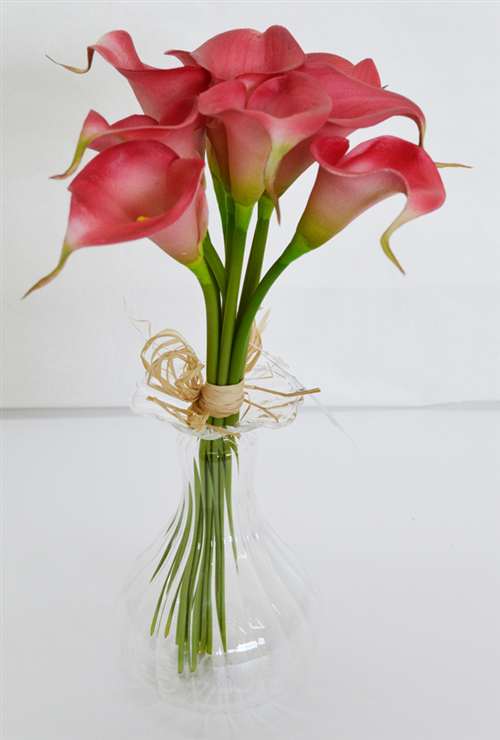 Mini Calla x 8 Fushia | Anniebrook