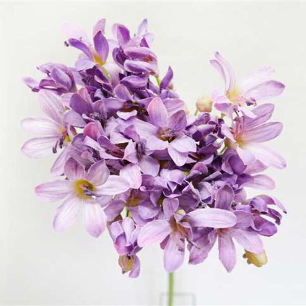 Agapanthus Spray Lilac