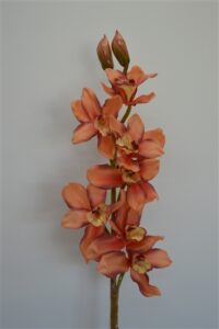 Cymbidium Real Touch Orchid Coral