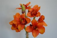 Cymbidium Orchid Bouquet Orange with 3 stems