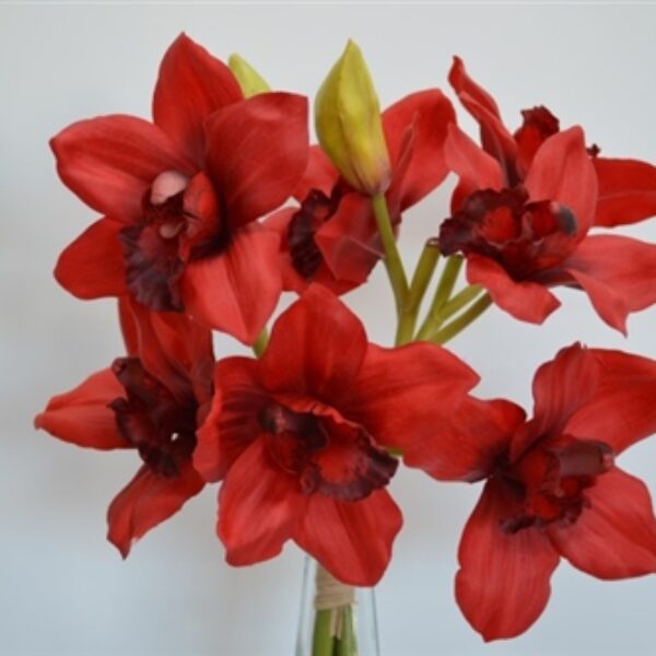Cymbidium Orchid Bouquet Red with 3 stems