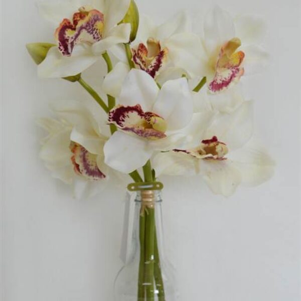 Cymbidium Orchid Bouquet White  with 3 stems
