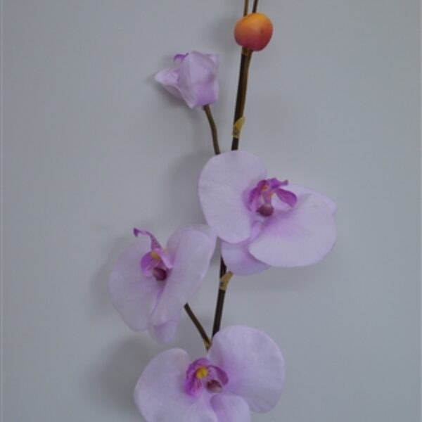 Phalaenopsis Orchid Spray Mauve/Lilac
