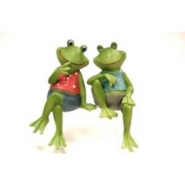 Couple Frog Edge Sitters