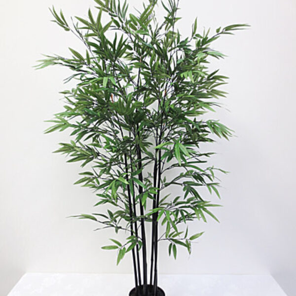 5' Mini Black Bamboo Tree
