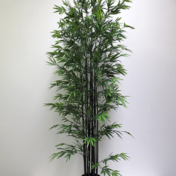 7' Mini Black Bamboo Tree